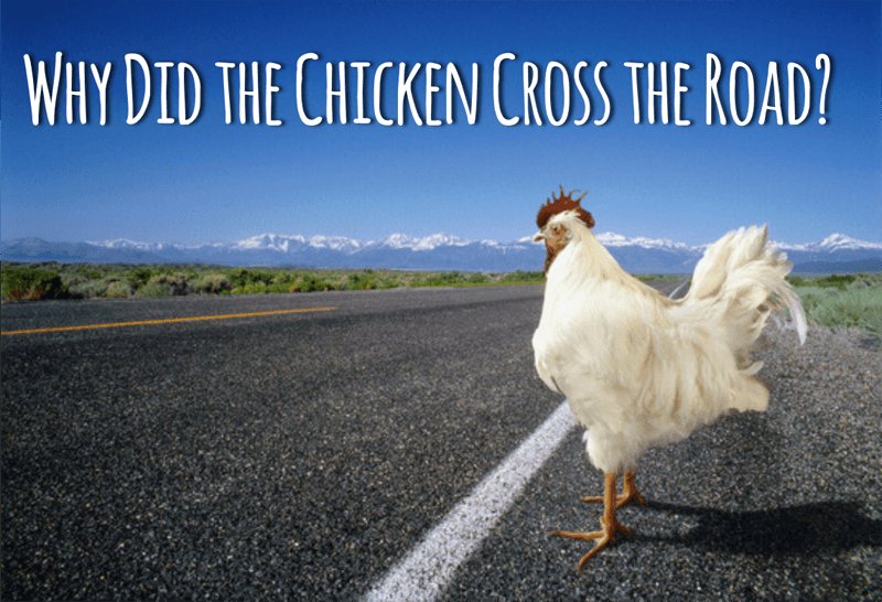 Spain - chicken road casino