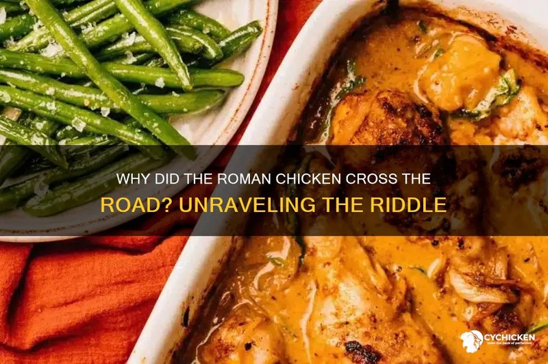 Chicken road joc în Romania Chicken road joc în Romania
